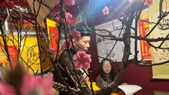 40 ông đồ cho chữ tại Hội chữ Xuân Giáp Thìn Văn Miếu - Quốc Tử Giám