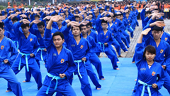 Sẽ đồng diễn võ thuật Vovinam tại lễ khai hội xuân Ngọa Vân 2024