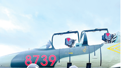 Xuân về bên những cánh bay