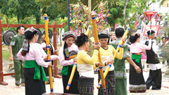 Cây bông nở hoa đón Tết