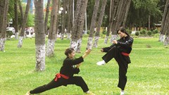 Tuyệt chiêu võ rồng