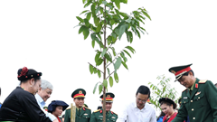 Chủ tịch nước phát động Tết trồng cây "Đời đời nhớ ơn Bác Hồ"