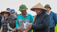 Thủ tướng xuống đồng cấy lúa cùng nông dân Hải Dương
