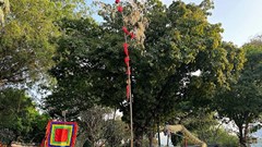 TP.HCM: Lễ Khai hạ - Cầu an đầu năm mới