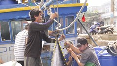 Lộc biển đầu năm từ những chuyến tàu xuyên Tết