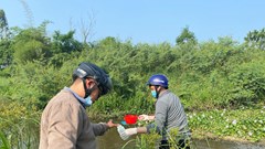 Xả thải có chứa chất xyanua vượt quy định, một doanh nghiệp bị xử phạt 330 triệu đồng