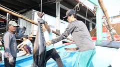 Khánh Hoà: Chung tay gỡ khó cho ngành thuỷ sản