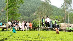 Hiệu ứng tích cực cho du lịch Bắc Giang