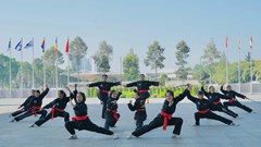 Bình Dương: Gần 1.000 người tham gia Liên hoan Yoga, Thể dục dưỡng sinh