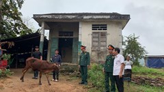 Trao tặng bò sinh kế cho 10 gia đình khó khăn có thanh niên nhập ngũ