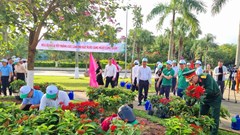 Đà Nẵng: Hàng trăm cây xanh được trồng để phát triển mảng xanh đô thị