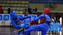 Hà Nội: Trao 27 bộ huy chương giải đấu Vovinam tại Hội khỏe Phù Đổng 2024