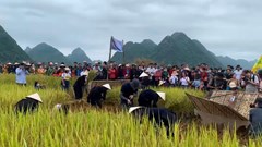 Tạo đà cho du lịch phát triển