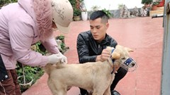 Bệnh dại có chiều hướng gia tăng tại nhiều địa phương