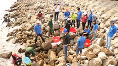 Quảng Nam: Triển lãm về đa dạng sinh học vào giữa tháng 3.2024
