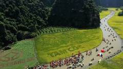 Xây dựng Ninh Bình trở thành đô thị di sản thiên niên kỷ