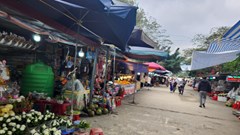 Thanh Hóa vào cuộc xử lý vụ hàng loạt ki ốt xâm phạm di tích đền Cô Bơ