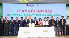 Hợp tác thành lập Viện Đào tạo thực hành Đèo Cả