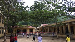 Quảng Nam: Tăng cường ngăn chặn bệnh thủy đậu bùng phát, lây lan