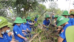 TP.HCM: Ngày hội Sống xanh và các hoạt động hưởng ứng Tháng hành động vì môi trường