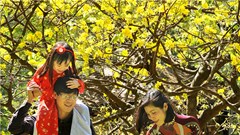 TP.HCM: Đánh giá sự hài lòng của người dân về “Bộ tiêu chí xây dựng gia đình hạnh phúc”