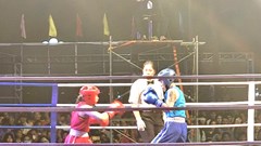 Khai mạc Giải vô địch các đội mạnh toàn quốc môn Kickboxing