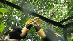 Vườn Quốc gia Phong Nha - Kẻ Bàng tiếp nhận, cứu hộ nhiều động vật hoang dã, quý hiếm