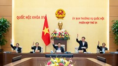 Thành lập thành phố Bến Cát (Bình Dương) và thành phố Gò Công (Tiền Giang)