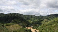 Địa phương đầu tiên trong cả nước thực hiện Đề án thí điểm kinh doanh tín chỉ carbon rừng: Vì sao vẫn chưa thể triển khai?