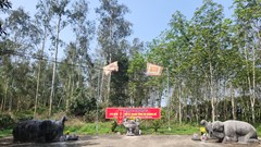 Kinh đô Vạn Lại - Yên Trường (Thanh Hóa): Giờ chỉ còn là phế tích!