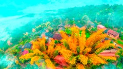 Giải thưởng Nhiếp ảnh Heritage - Hành trình Di sản 2024