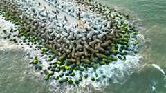 Bãi rêu xanh mướt ở bờ kè biển Quảng Ngãi thu hút du khách