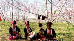 Giải pháp nào liên kết phát triển du lịch Điện Biên hiệu quả?