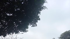 Xe vi phạm quảng cáo đi như chỗ không người