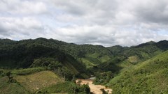 Kiến nghị bổ sung tỉnh Quảng Nam vào Chương trình giảm phát thải từ REDD+ theo tiêu chuẩn TREES vùng Nam Trung Bộ và Tây Nguyên