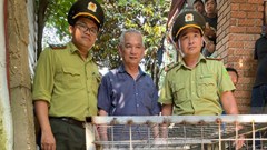 Huế: Người dân giao nộp cá thể trăn đất nặng 85kg cho kiểm lâm