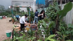 Giữ màu xanh cho môi trường sống