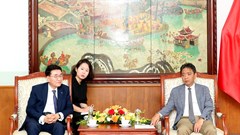 Thứ trưởng Bộ VHTTDL Hoàng Đạo Cương làm việc với Tập đoàn CJ Việt Nam