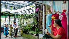 Cuộc thi viết và thuyết trình “Gia đình và phòng, chống bạo lực gia đình” năm 2024