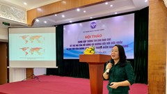Đề xuất áp dụng thuế tiêu thụ đặc biệt đối với đồ uống có đường