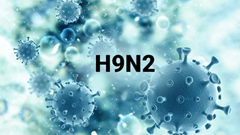 Từ ca mắc cúm A/H9 đầu tiên: Bộ Y tế khuyến cáo phòng bệnh