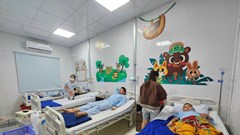 Liên tiếp xảy ra nghi ngộ độc thực phẩm ở TP Nha Trang: Khẩn trương điều tra, xác định nguyên nhân