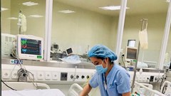 Bé gái 11 tuổi tử vong vì tự làm thịt cóc để ăn