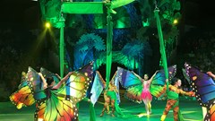 Sân khấu công lập sẽ đi đến đâu? Khi việc “ủ ấm” sẽ không còn