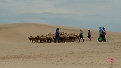 LHP Tài liệu Châu Âu- Việt Nam  lần 9:​ Tạm biệt Hạ Long sẽ không trình chiếu bởi  “chưa thích hợp”