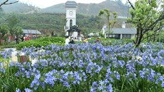 Hình ảnh đối lập thú vị về mùa hè ở Hà Nội và Sa Pa