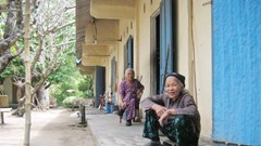 Làng phong miền chân sóng