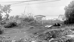 Đắk Nông: Cấp sổ đỏ trên đất quốc phòng