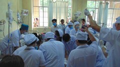 Mối hiểm nguy từ bệnh nhân tâm thần tại gia: "Sống trong sợ hãi"