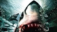 6 bộ phim cá mập kinh điển khiến khán giả … phát hoảng